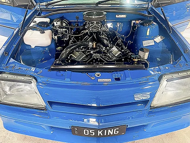 Professional vehicle detailing examples