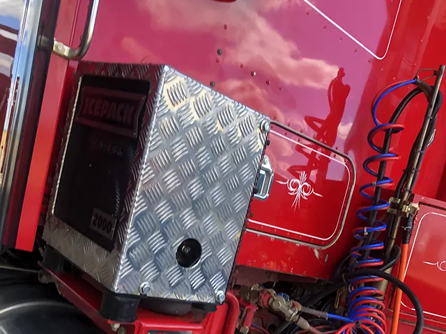 Professional vehicle detailing examples